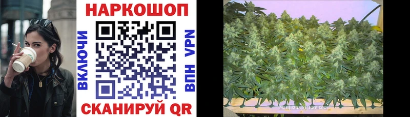 Купить Казань Cocaine A-PVP Псилоцибиновые грибы NBOMe Бошки Шишки Мефедрон ГАШИШ