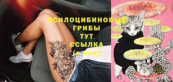 шишки Верхнеуральск