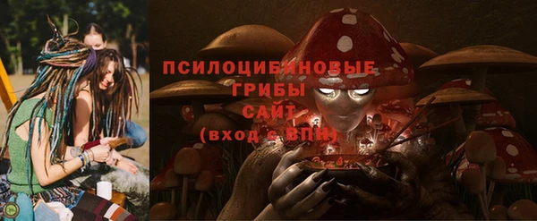 шишки Верхнеуральск