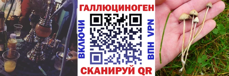 Галлюциногенные грибы мухоморы  цены   Казань 