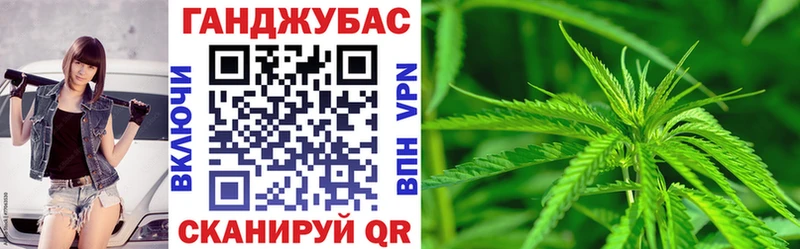 где найти наркотики  Казань  Канабис план 